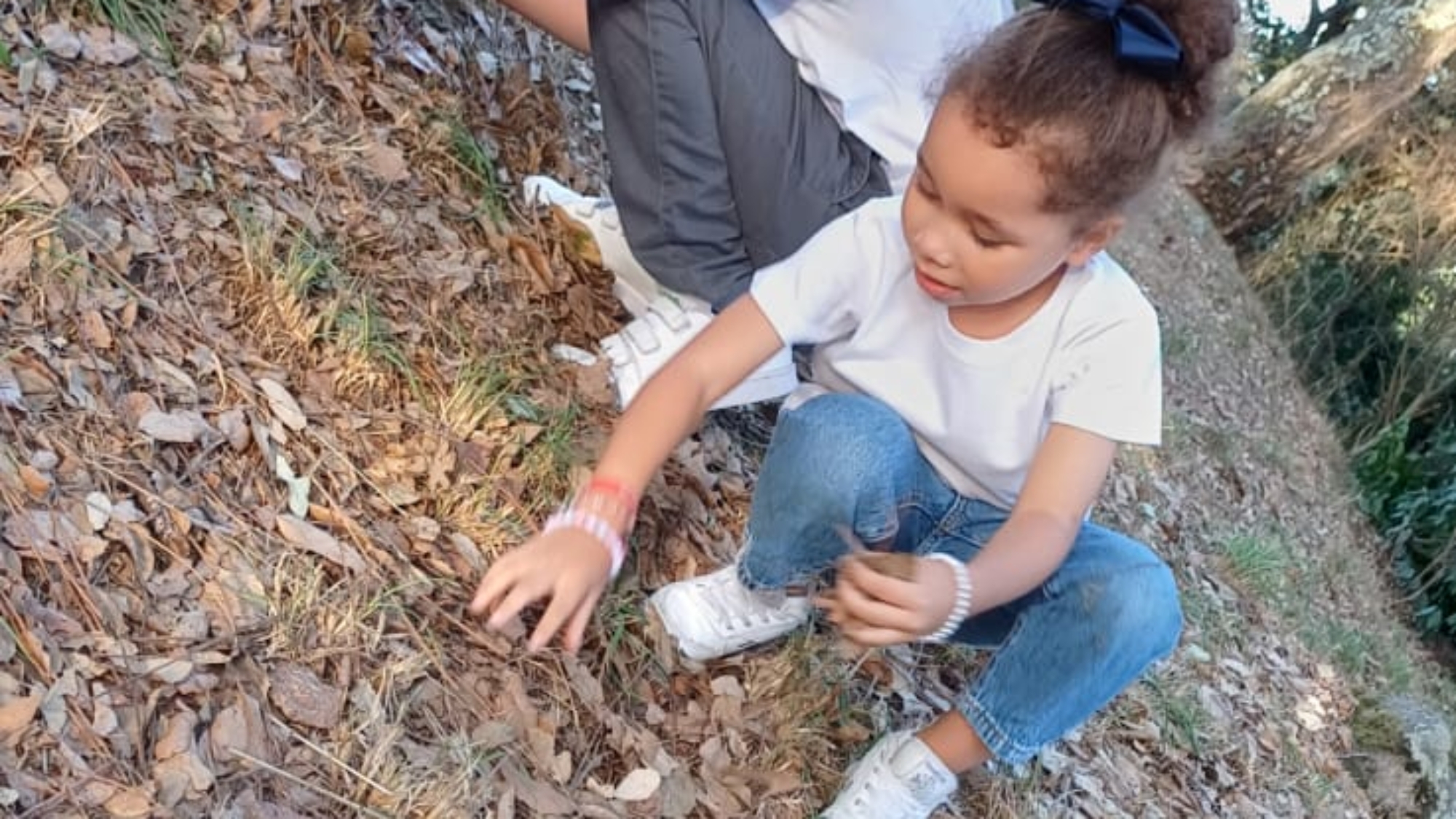 o nosso impacto na comunidade